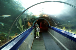 tunnel underwater woeld